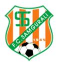 zeansoccer